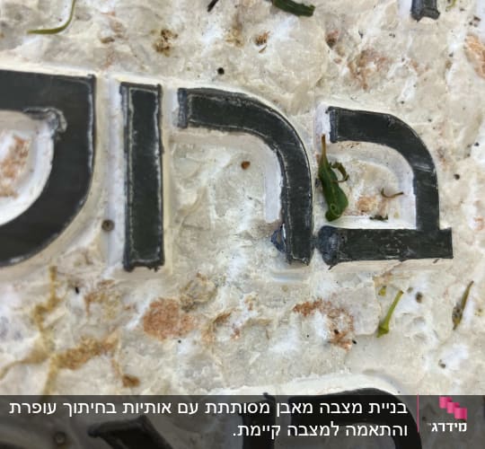 תקריב של כיתוב על מצבה עם עלים קטנים